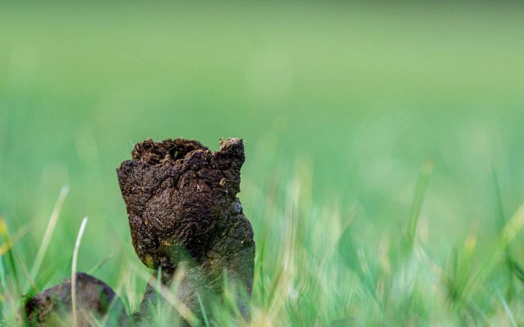 Kak, of ga van die pot af