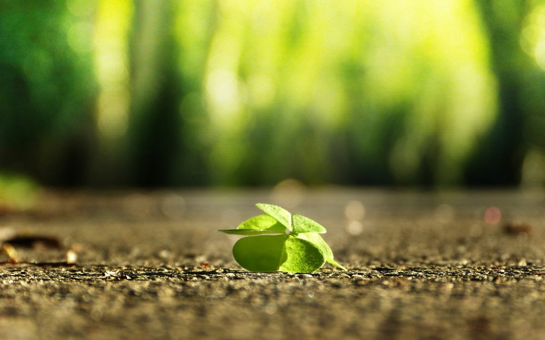 Wees eens heel eerlijk: hoe voel je je nu?