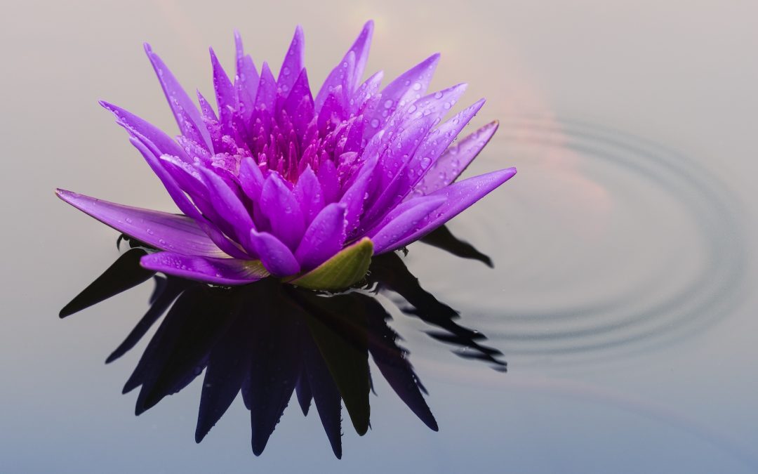 Ben jij bereid om all-in te gaan om het leven te creëren dat je werkelijk wilt? Zelfs als dat betekent dat je achterover moet gaan hangen? 😉