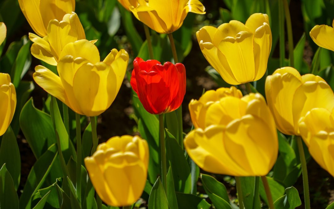 Onderpresteren… STOP ERMEE!